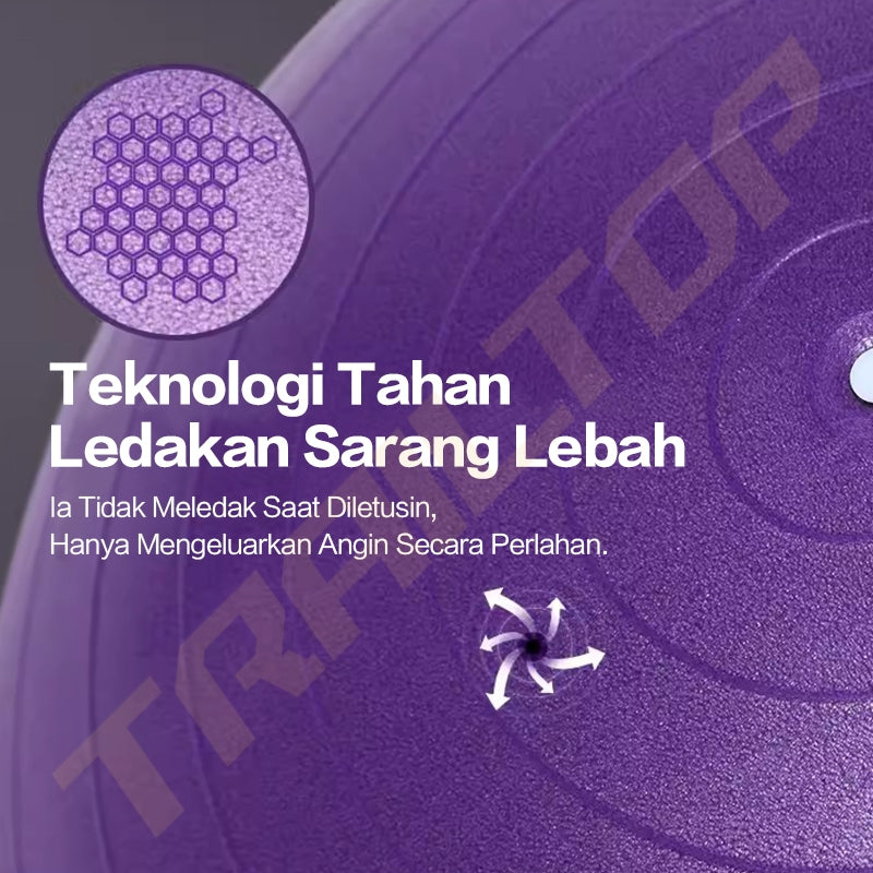 TrailTop Gym Ball Free Pompa Gym Ball Ibu Hamil 65/75cm Bola Yoga Alat Olahraga