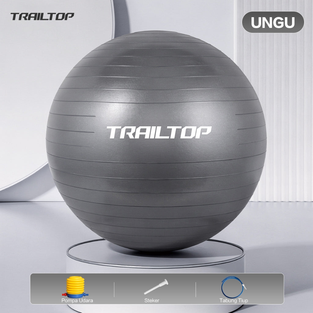 TrailTop Gym Ball Free Pompa Gym Ball Ibu Hamil 65/75cm Bola Yoga Alat Olahraga
